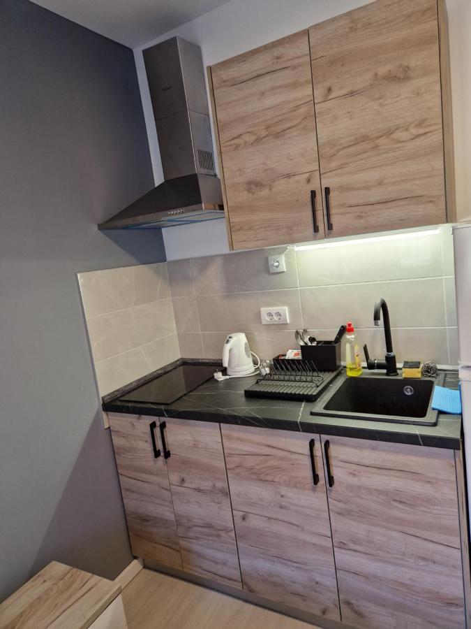 Sofia Apartment Sajmiste Bagian luar foto
